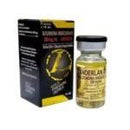 Boldenonia Undecilenato 250mg/ml