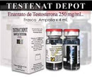 Testenat Enantato 4ml 250mg 4ml